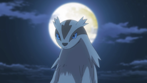 My Favourtie Pokémon- Linoone